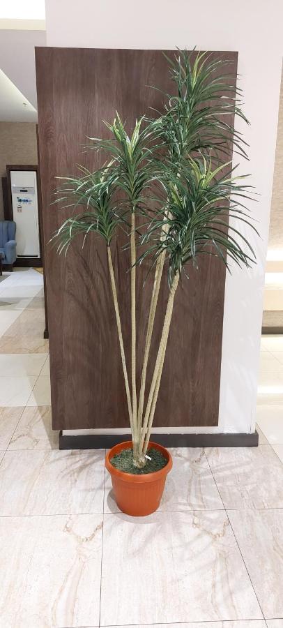 همم للوحدات السكنية - الرحيلي Jeddah Al Kura Ngoại thất bức ảnh